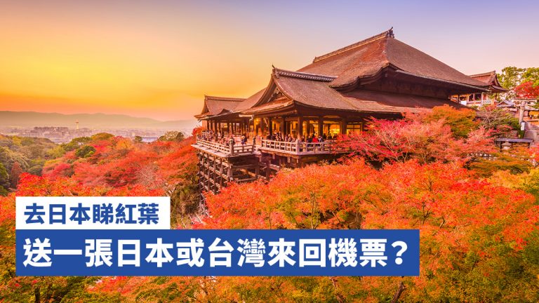 去日本睇紅葉，送一張日本或台灣來回機票？