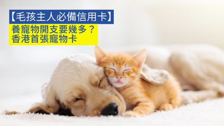 【毛孩主人必備信用卡】養寵物開支要幾多？香港首張寵物卡